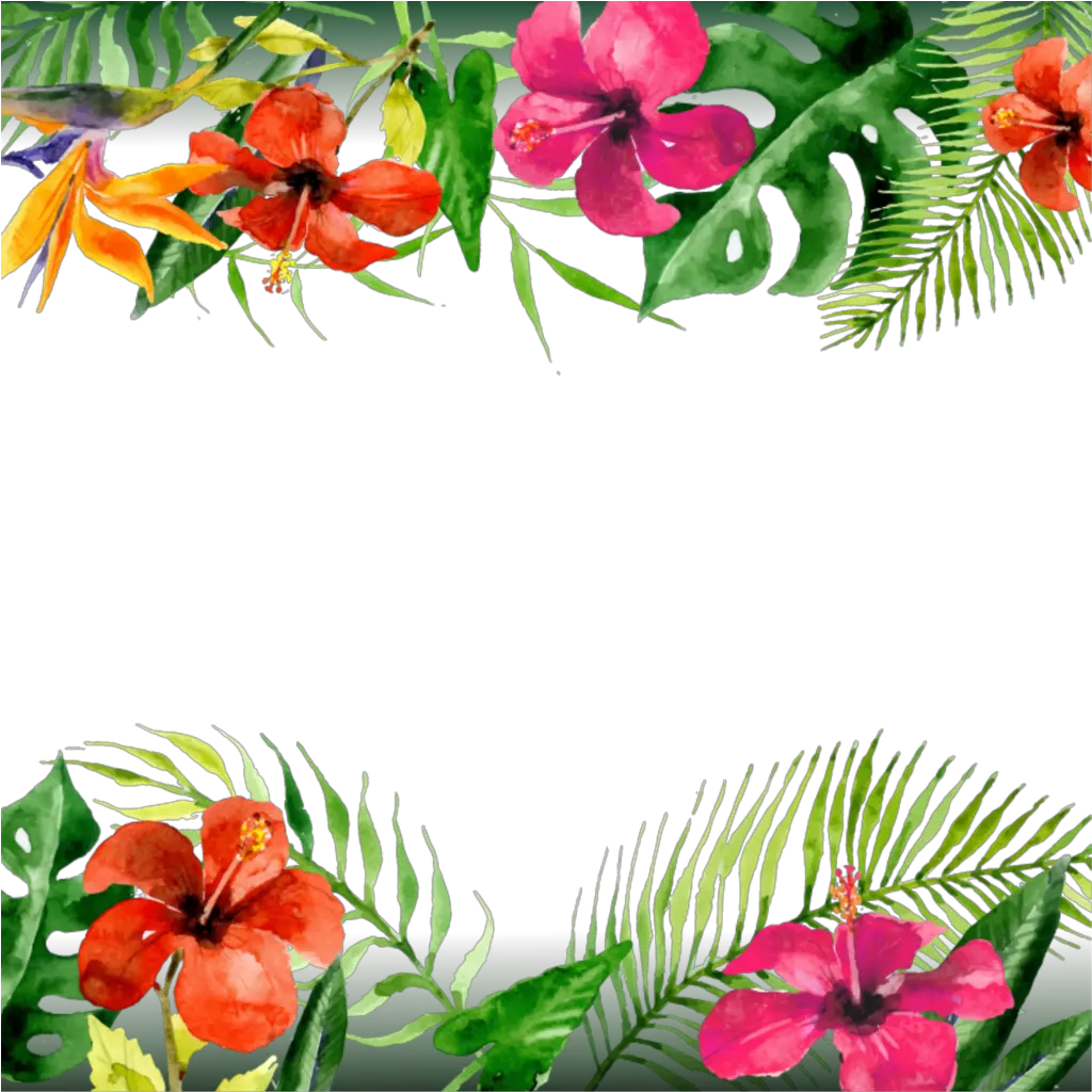  mq flowers flower tropical border borders Tropical Flowers Border Png