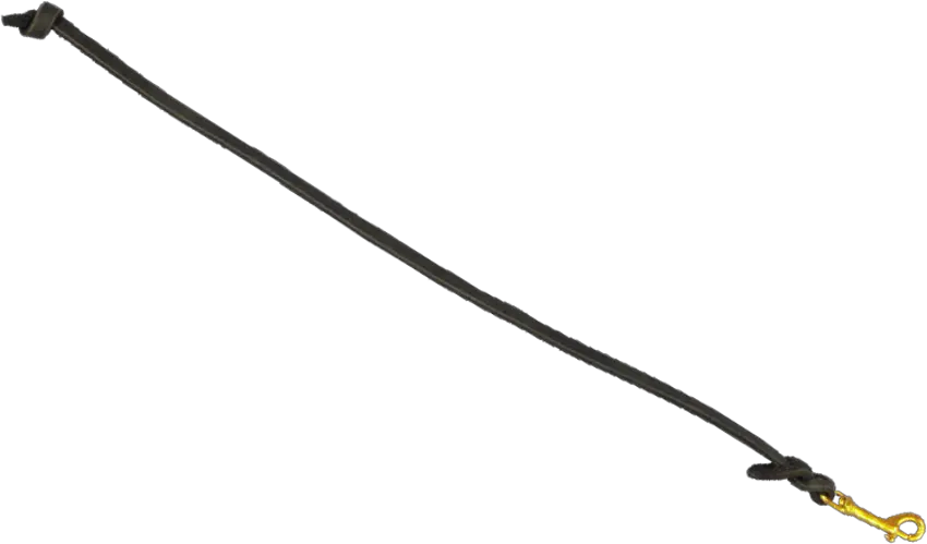  Leash Png Dog Leash No Background