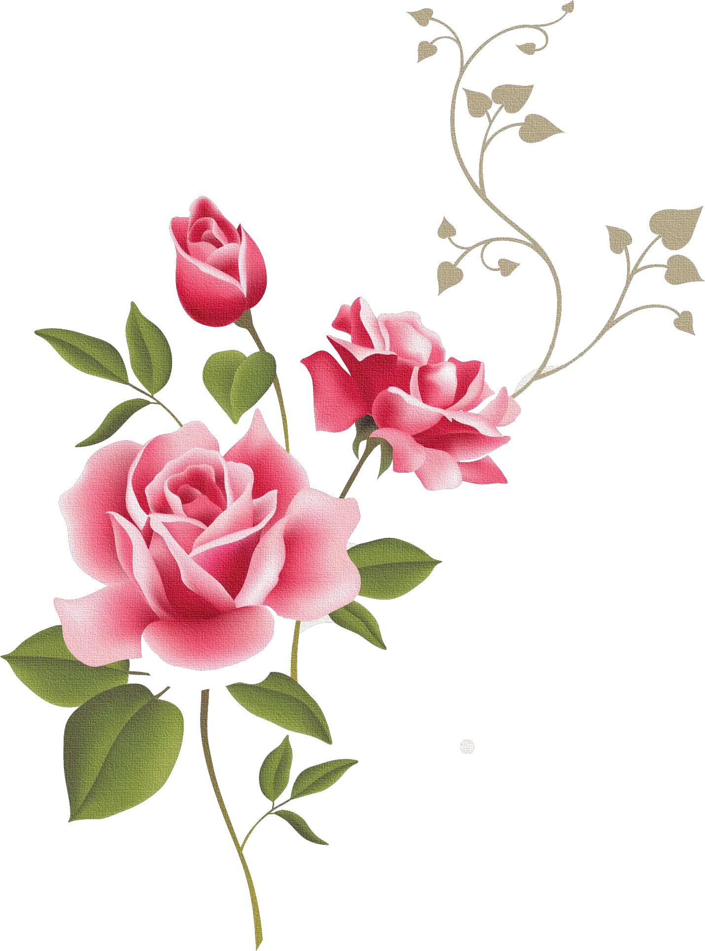  Transparent Rose Outline Png Clip Art Borders Flowers Rose