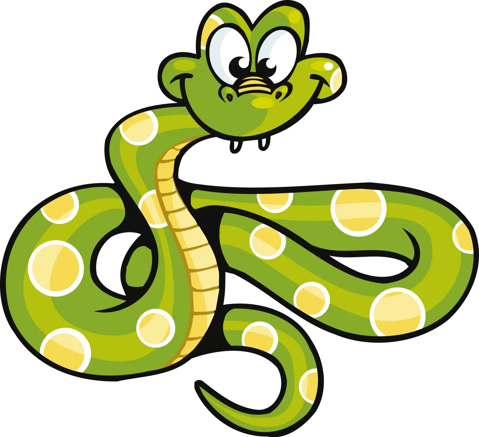  Snake Cartoon Png