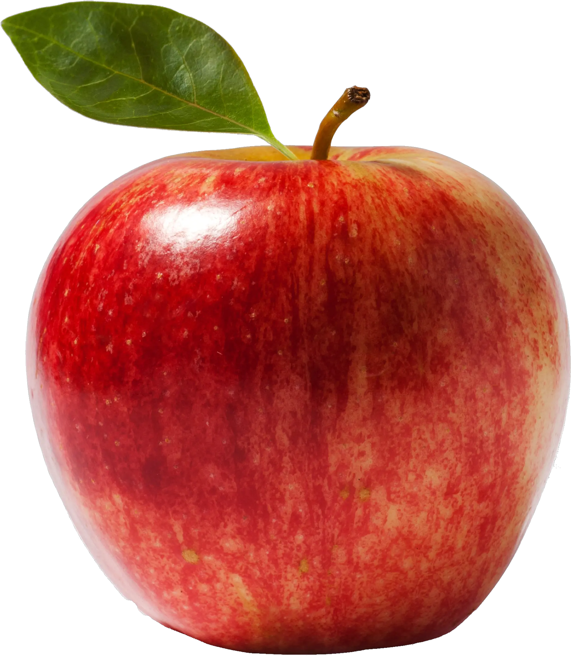  Apple Fruit Crumble Gift Basket Snack Scientific Name Of Apple