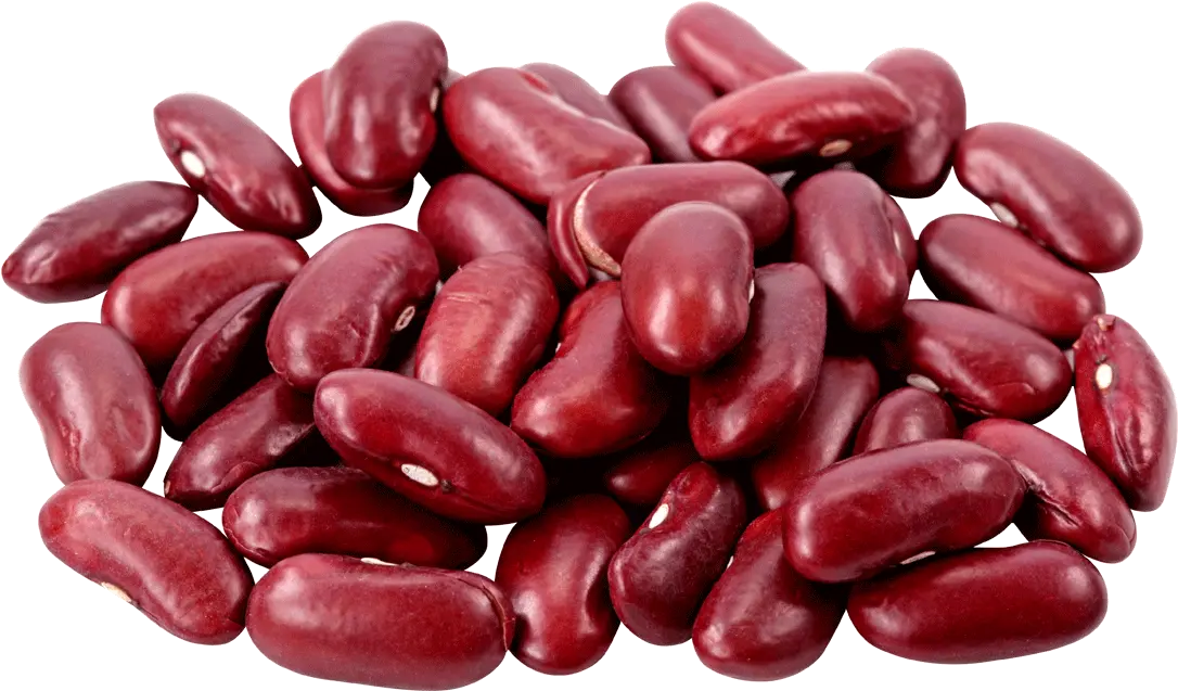  Kidney Beans Download Png Image Beans Png