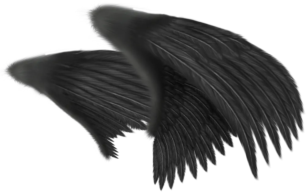  Angel Wing Clip Art Side View Angel Wings Png