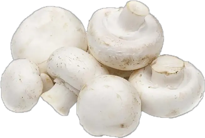  Transparent Button Mushroom Png