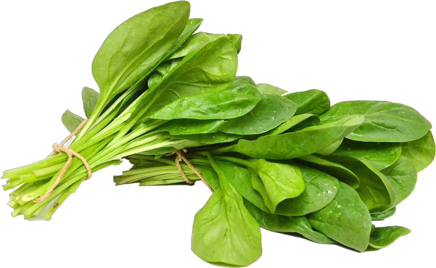 Spinach Png Free Image Palak Vegetable