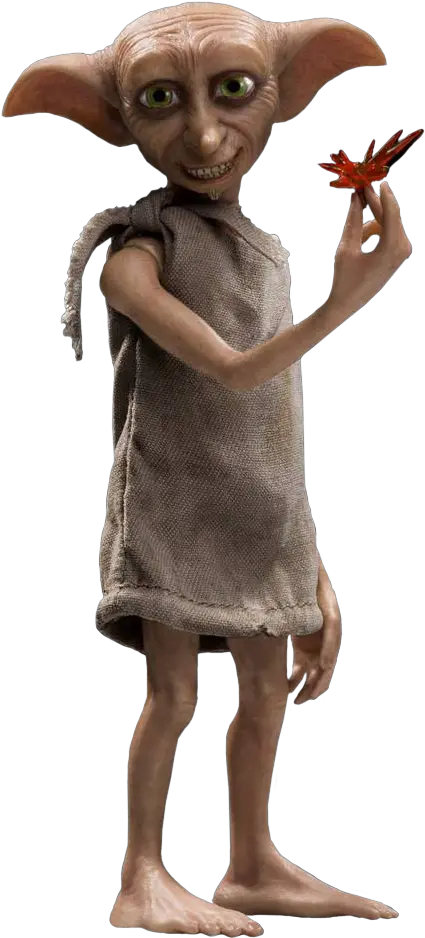  Harry Potter And The Chamber Of Secrets Harry Potter Dobby