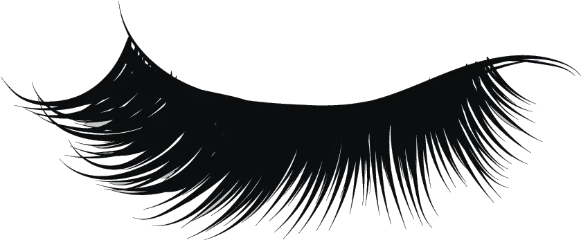  Clip Art Collection Of Free Vector Transparent Background Eyelash Png