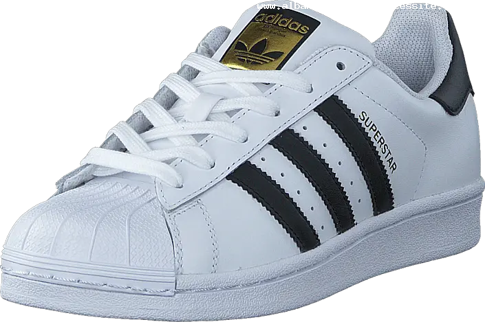  Transparent Gym Shoes Png Popular 8039s Shoes Men