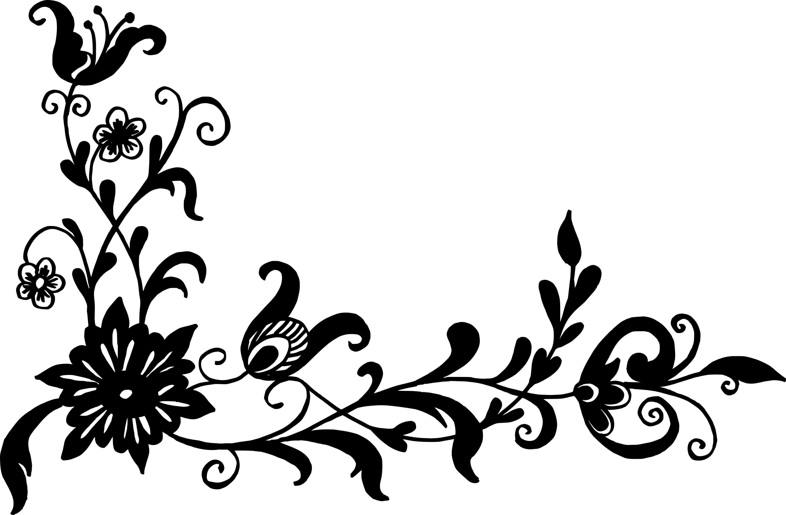  Floral Corner Blackamp White Png