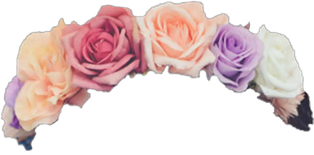  Floral Crown Png Flower Crown No Background