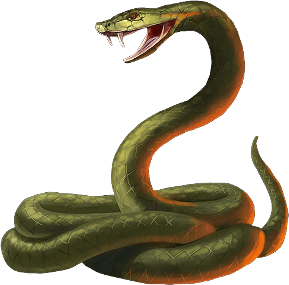  Transparent Viper Snake Png Transparent Snake Png