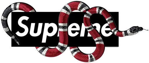  Gucci Logo With Snake