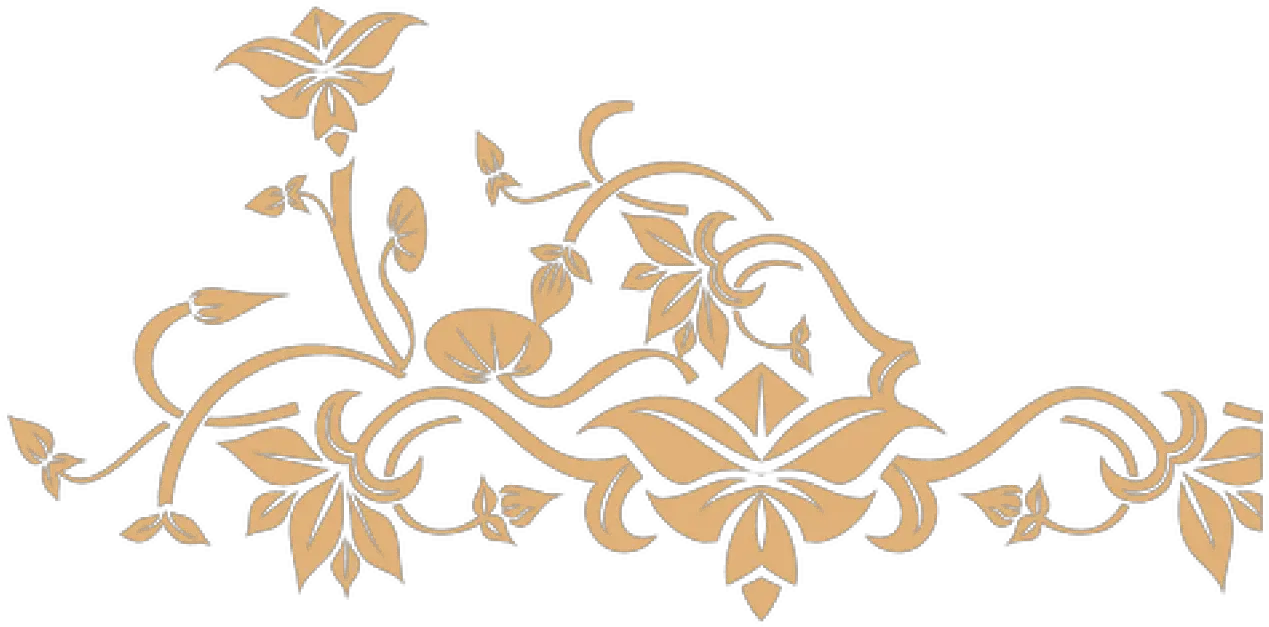  Floral Vector Transparent Background