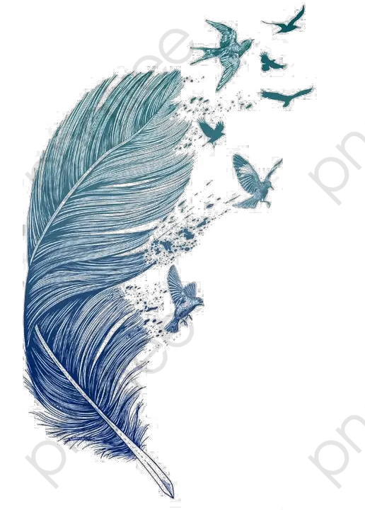  Feather Clipart Bird Feather With Flying Birds