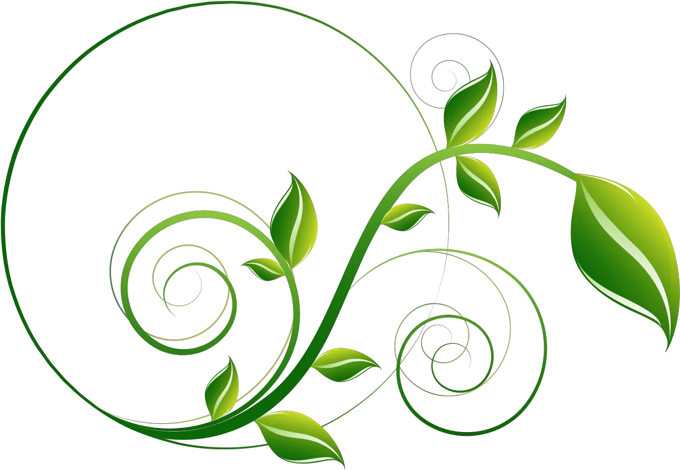  Decorative Leaf Png File Green Leaf Png
