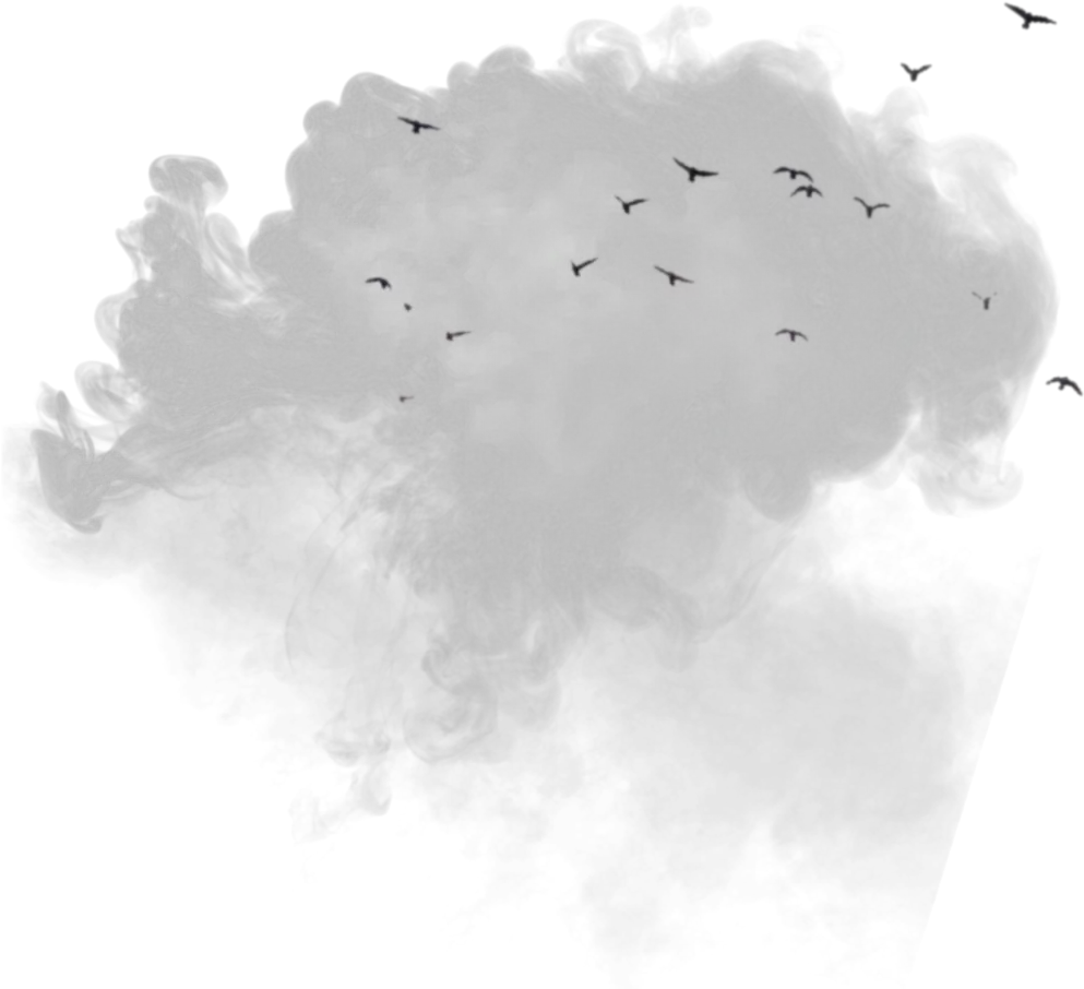  birds clouds background overlay aesthetic icon Darkness