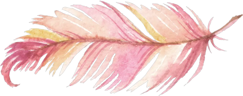  Transparent Feathers Pink Watercolor Painting Feather Png