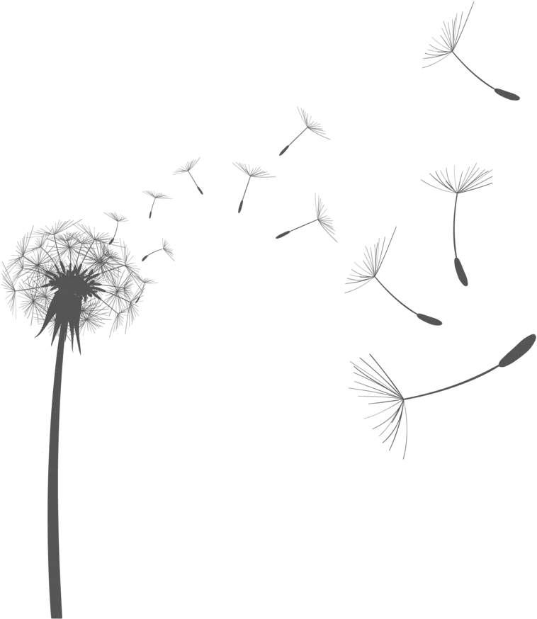  Dandelion Vector