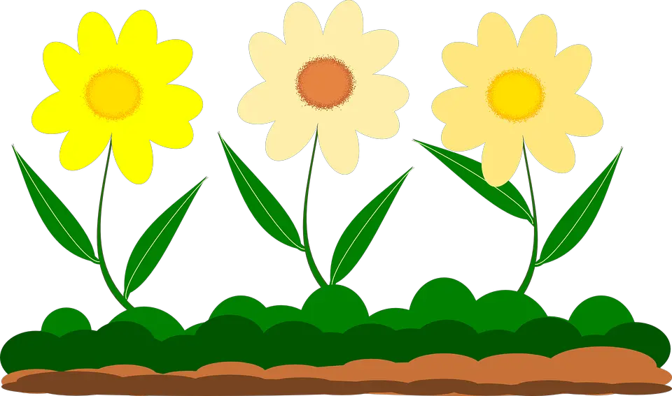  Yellow Flower