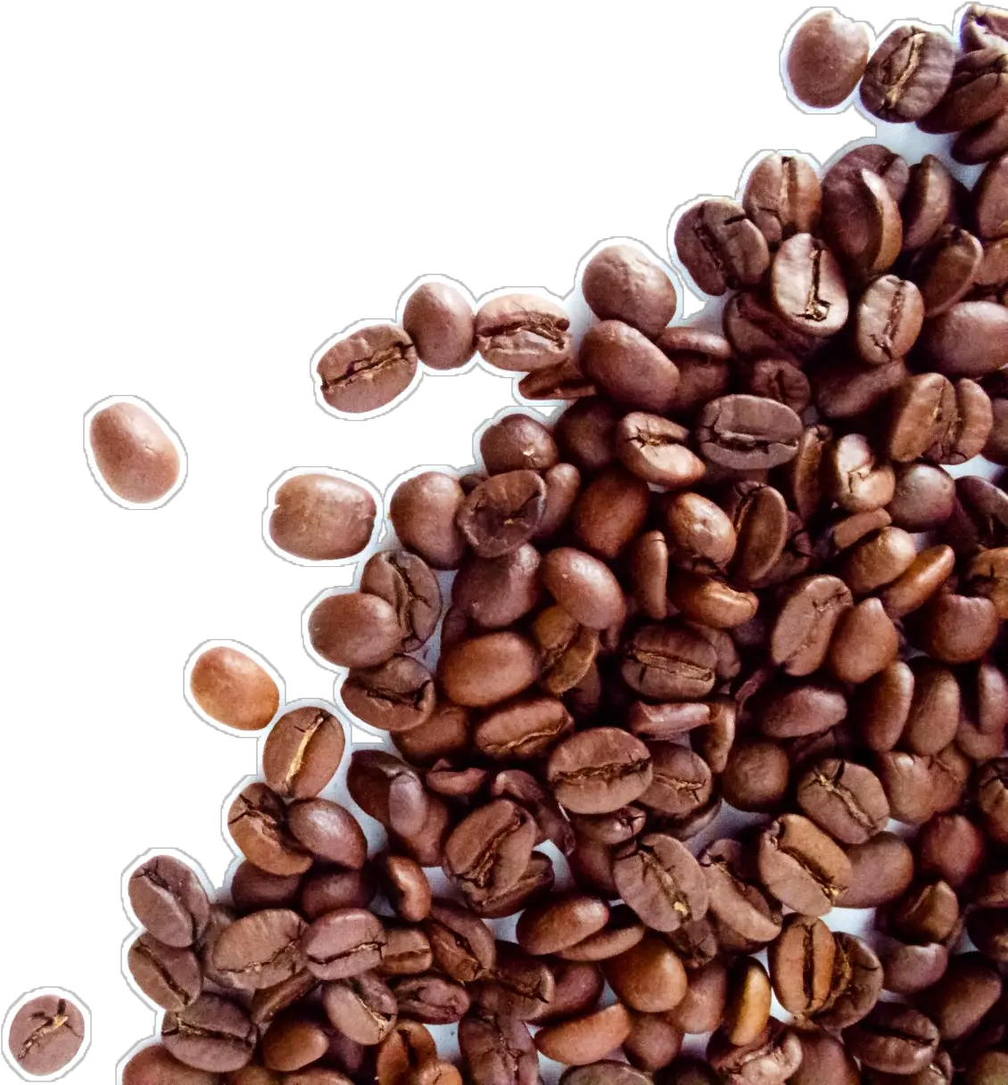  The Coffee Beanamp Tea Leaf Espresso Cafe Dolce Gusto Coffee Beans Transparent Background