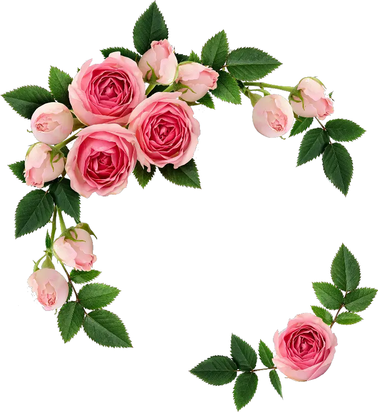  flowers ring Elegant Transparent Flower Background