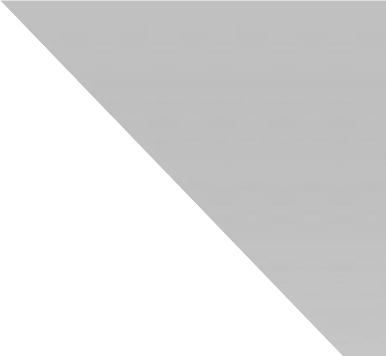  Transparent 20 Dollar Bill Png Mobile Screen Reflection Png