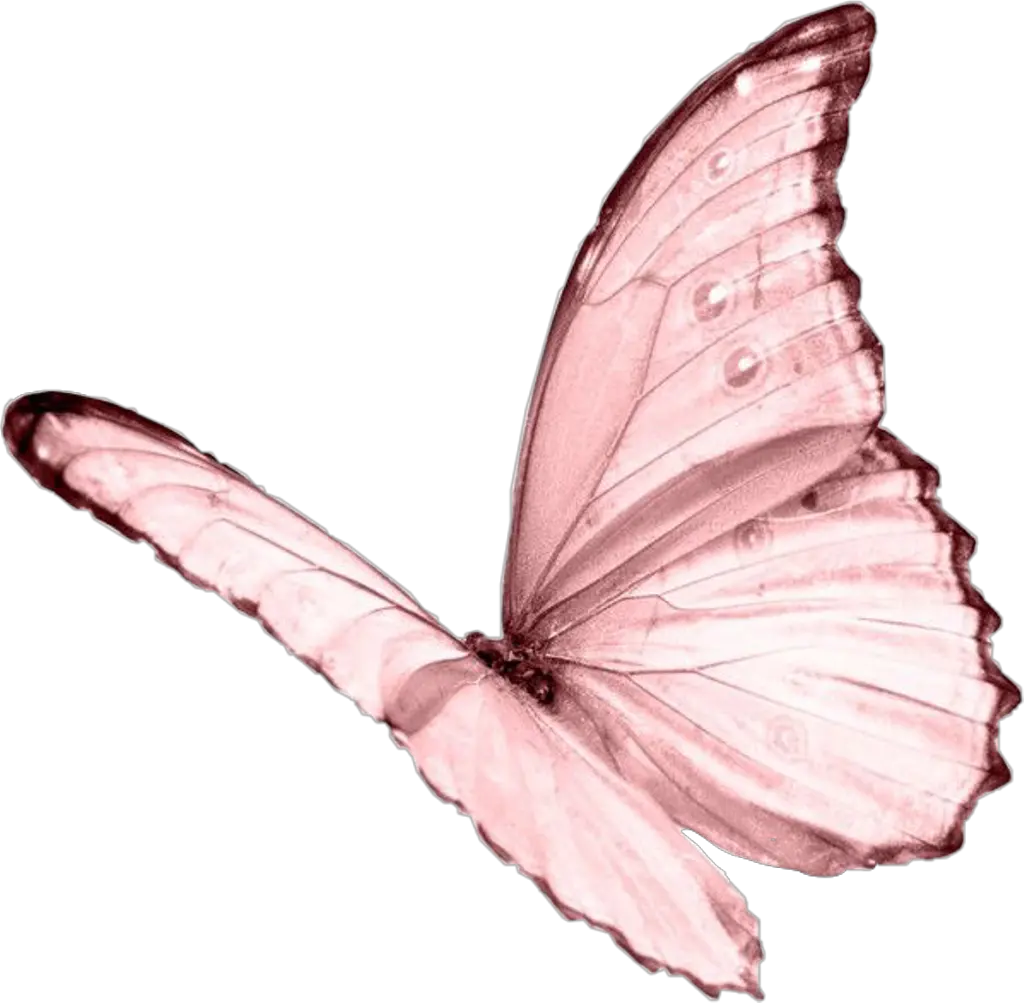  ceiaxostickers transparent overlay sticker tumblr Pink Butterfly Transparent Background