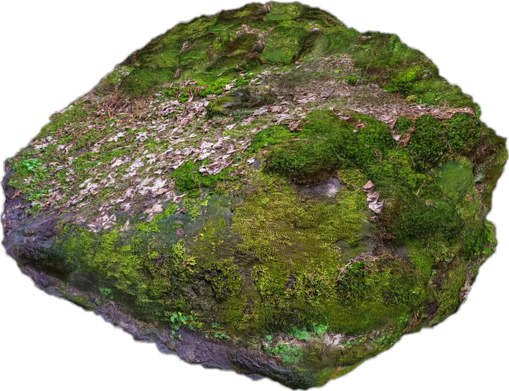  Rock With Moss Png
