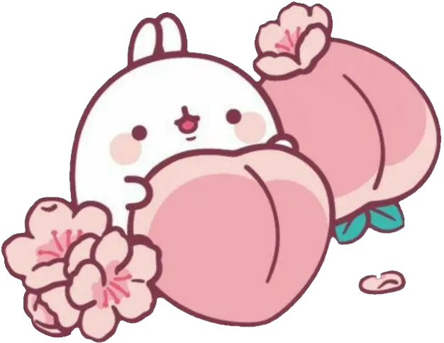  cute pastel pastelpink aesthetic aesthetics peach Molang Peach