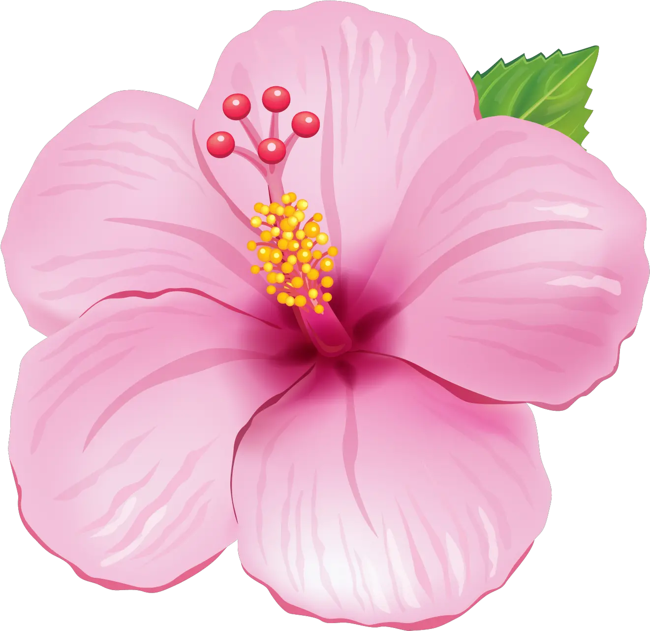  Flor Tropical Png