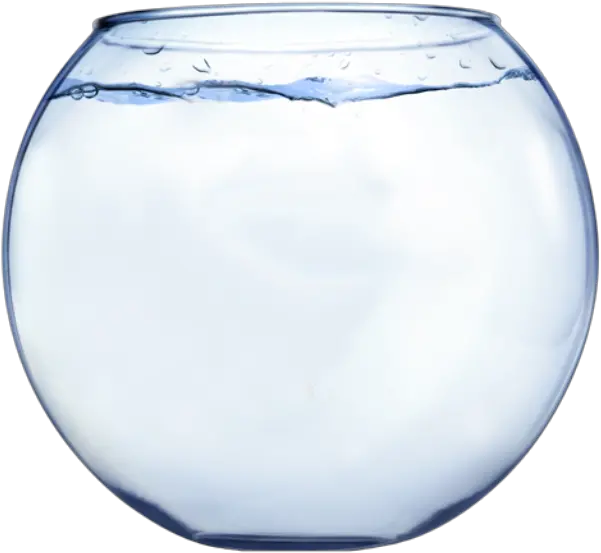  Aquarium Math Fish Clip Art Fish Bowl Transparent Background