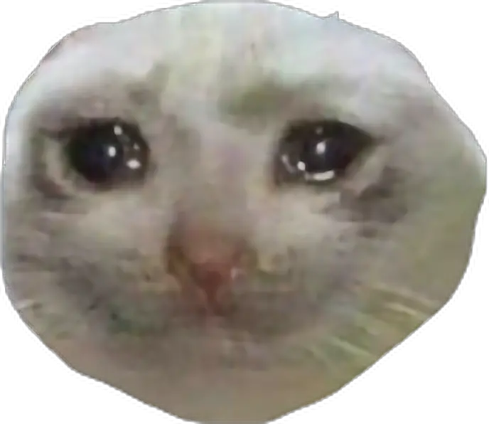  Meme Quotes Memes Edgymemes Sad Cat Face Transparent