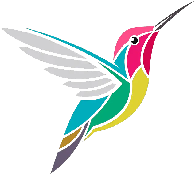  Hummingbird Colibri Dibujo