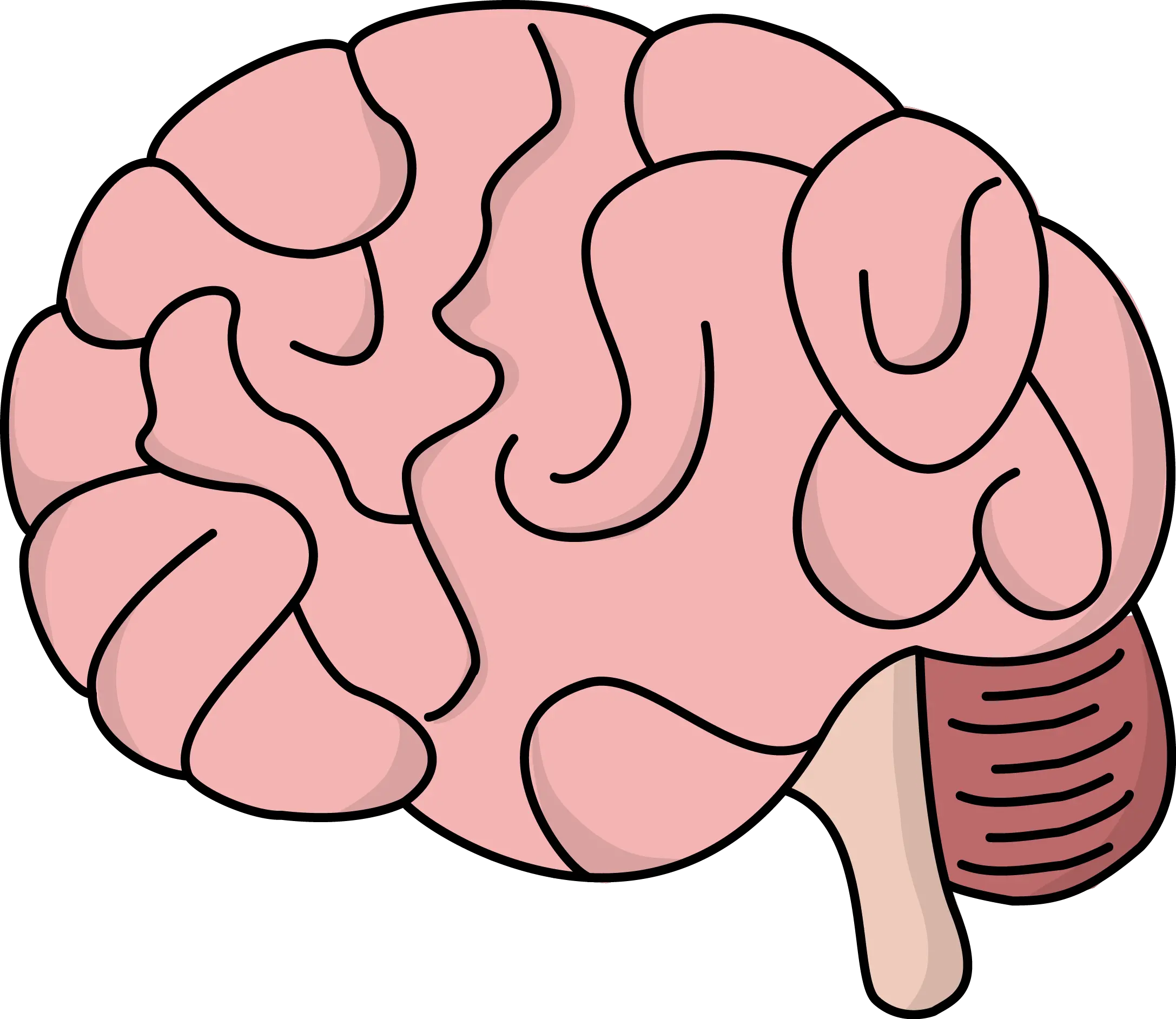 Image For Free Brain Brain Clipart Transparent Background