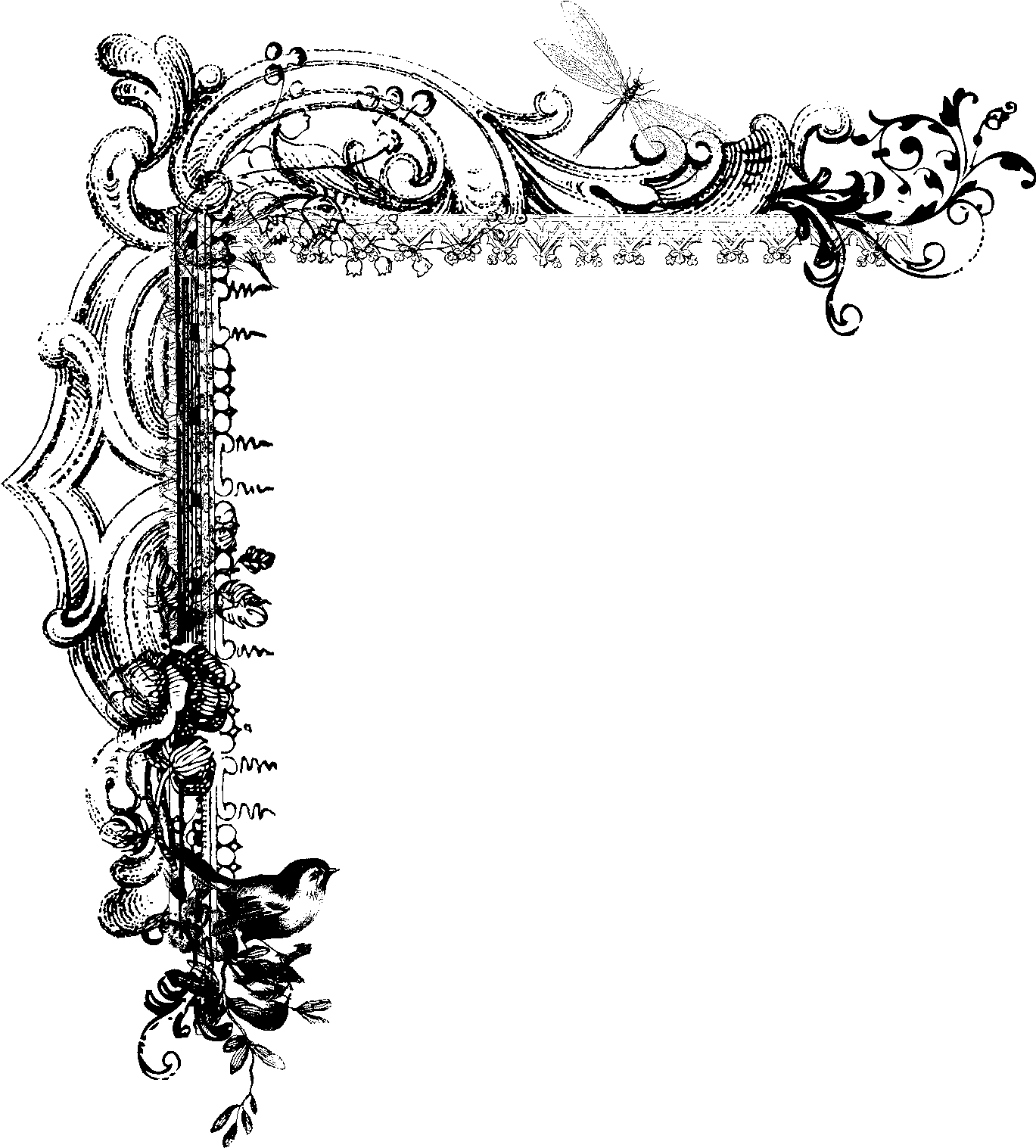  Fancy Transparent Page Borders