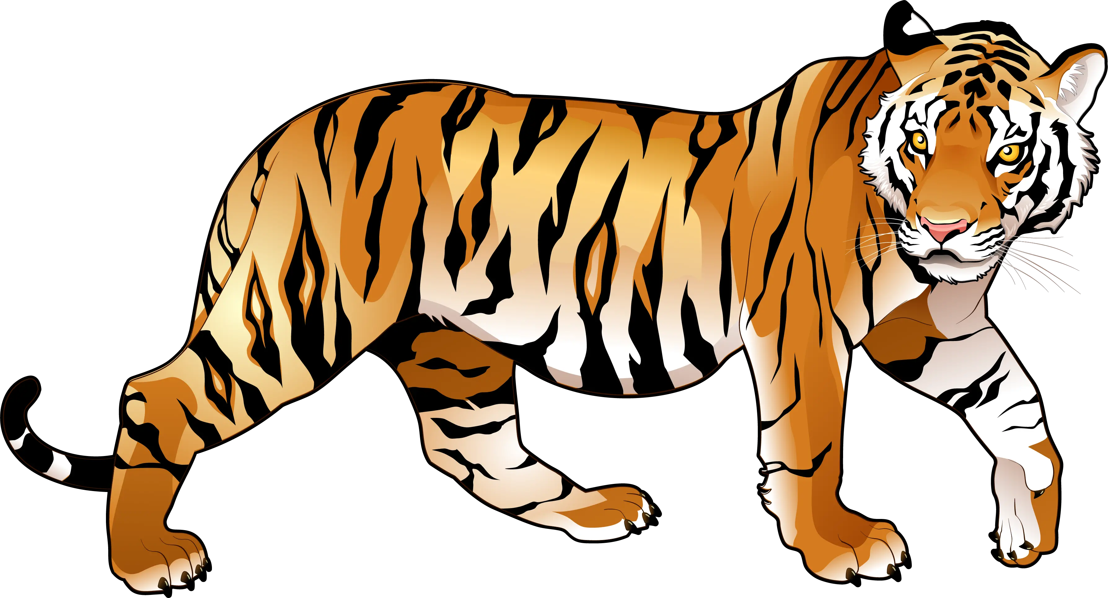  Animal Clipart Tiger Bengal Transparent Background Tiger Clipart