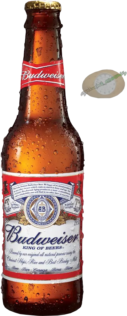  Trend Budweiser Beer Bottle Png » Png Image Of The Budweiser Beer Bottle Png