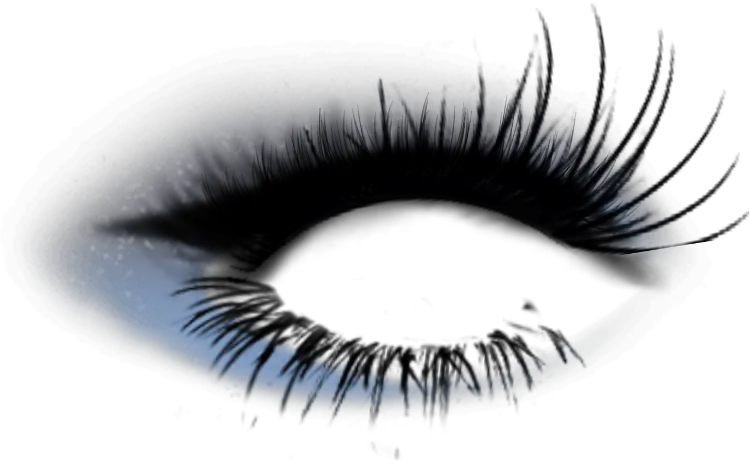  makeup eyeliner eyelashes bigeyelashes wyeshadow Eyelash Extensions