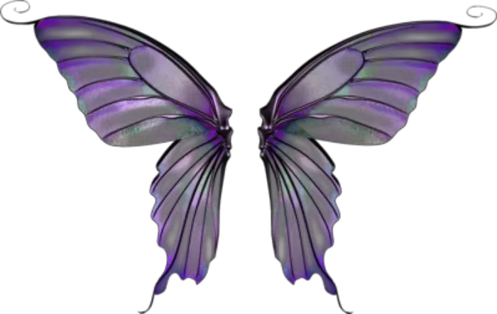  wings butterflywings fairywings faerywings costume Purple Fairy Wings Transparent