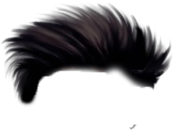  Best Hair Png For Editing Hair Style For Editing