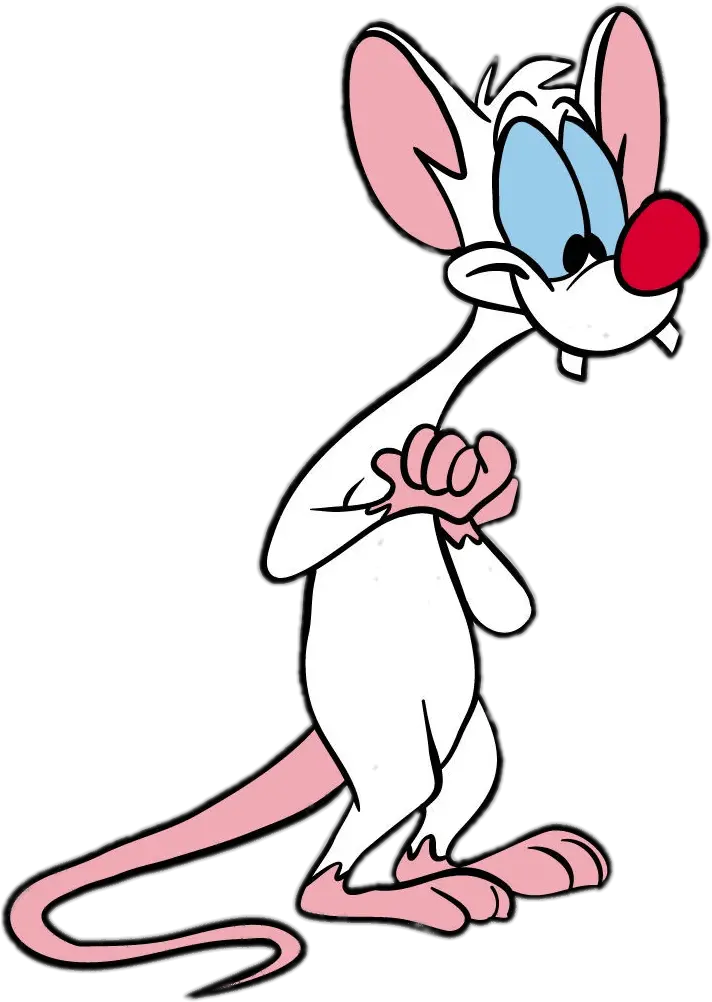  Pink And The Brain Pinky
