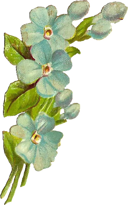  Antique Blue Flower Png