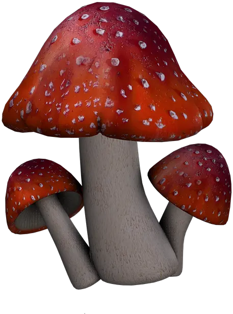  Red Mushroom Png Fantasy Mushrooms Png
