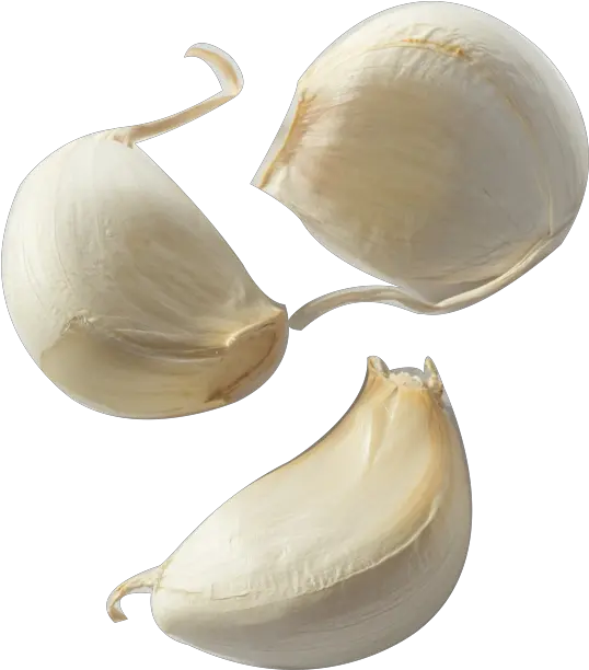  Garlic Bread Clove Condiment Onion Transparent Garlic Clove