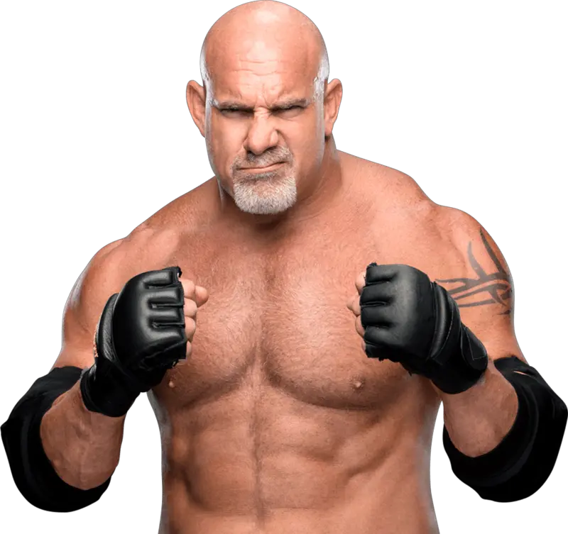  Goldberg Wwe