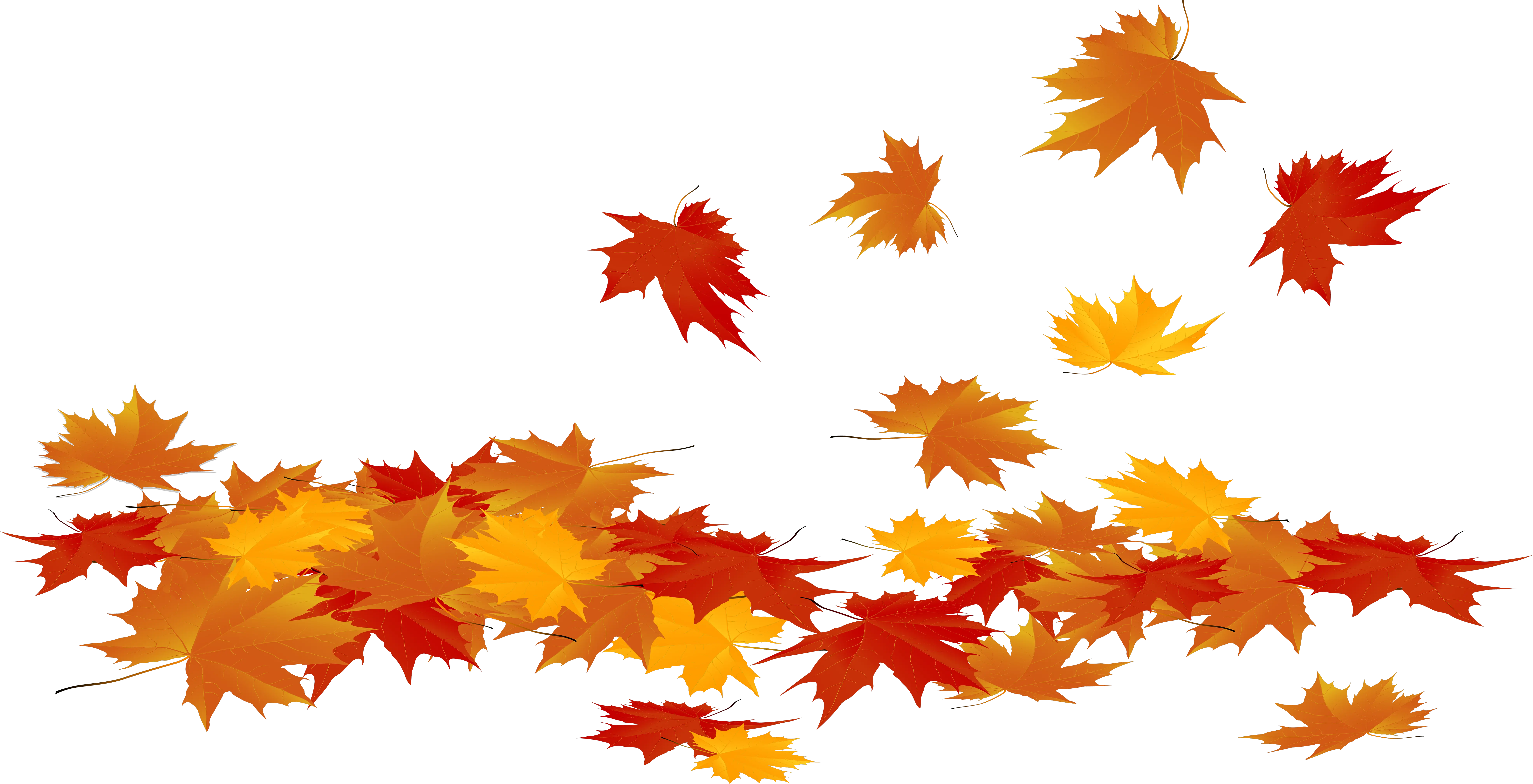  Fall Leave Png