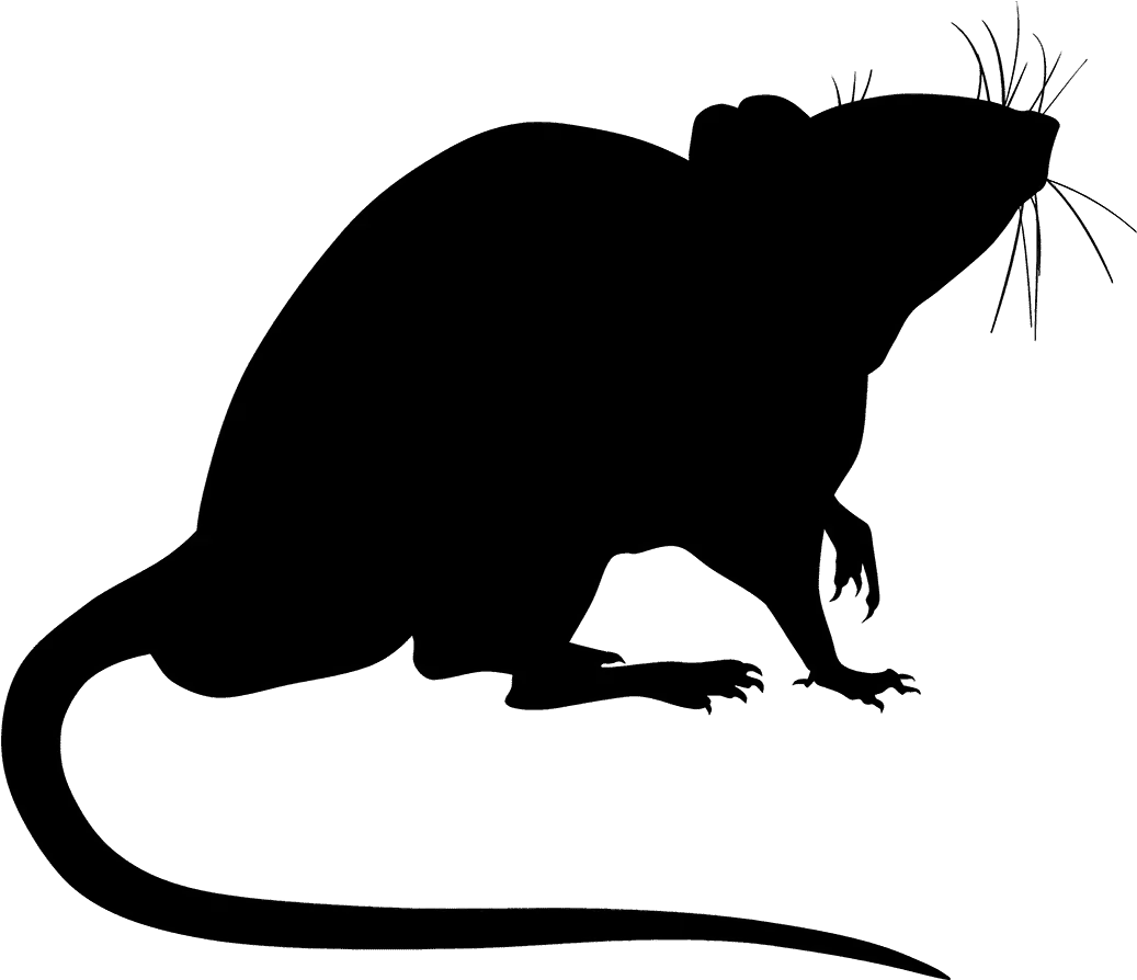  Transparent Rat Silhouette