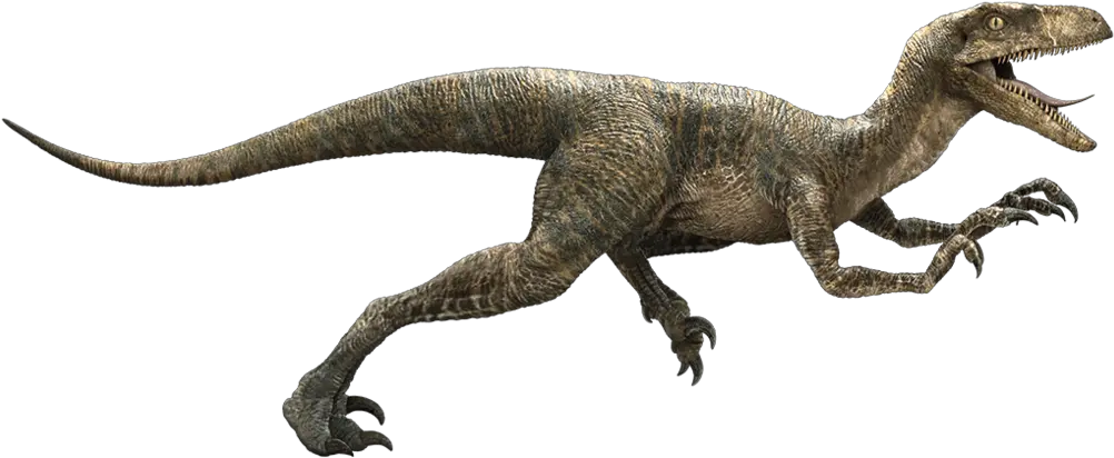  Jurassic Park Velociraptor Deinonychus Late Cretaceous Raptor Dinosaur
