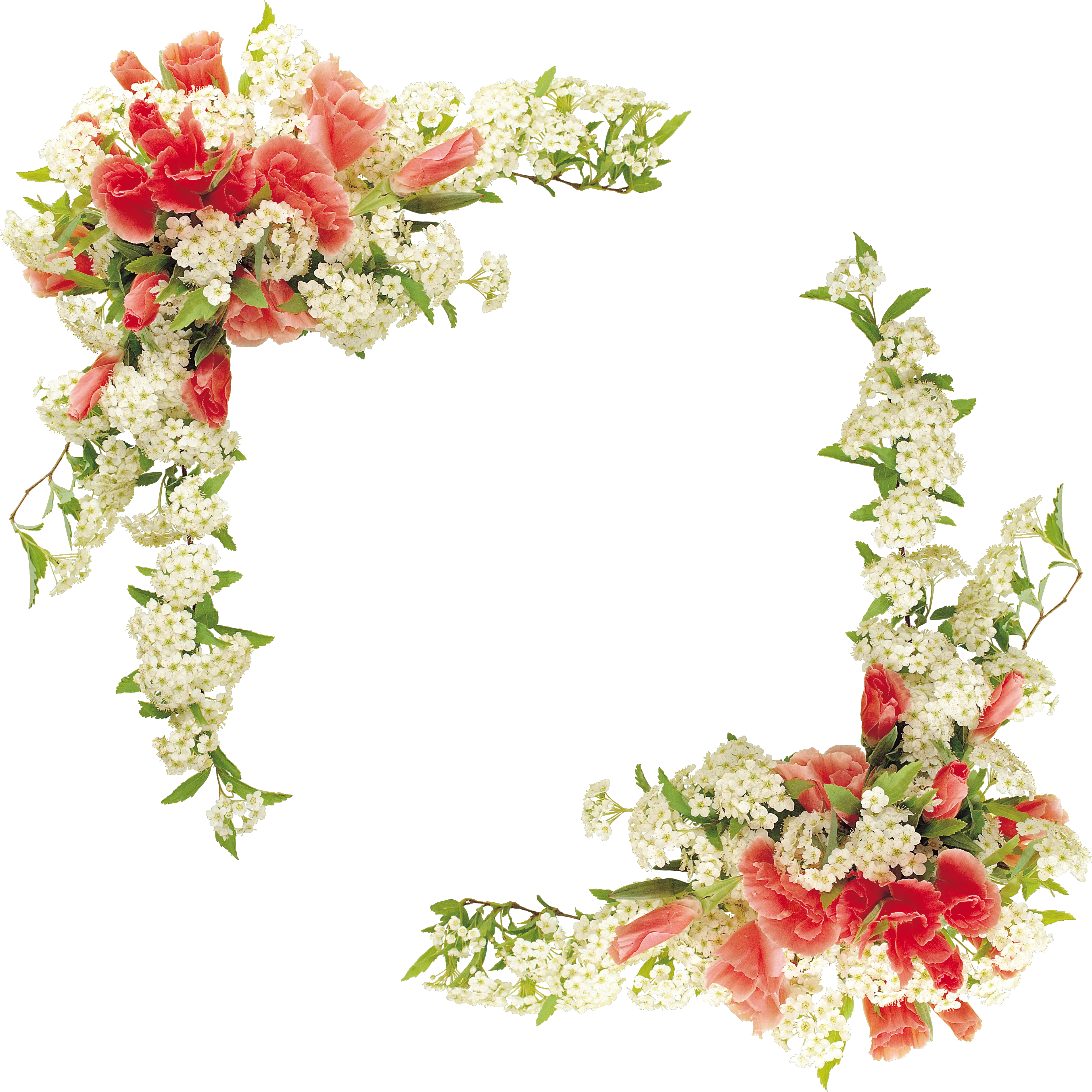  Transparent Floral Borders Png Real Flower Border Design