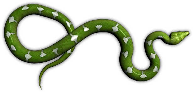  Green Snake Png